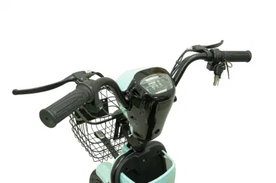 Batteria al litio scooter elettrico bicicletta elettrica