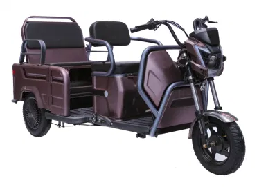 2023 Hot Sales, certificato CCC, Cina Produttore buona qualità, 650 W (800 W) triciclo elettrico tempo libero, sedile posteriore pieghevole, spazio di stoccaggio, triciclo elettrico