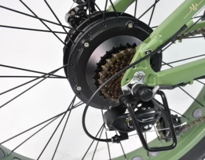 Bici elettrica Cruiser da 26 pollici, fatbike da 48 V.