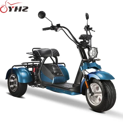 Moto elettrica Citycoco scooter 2000 W 60V con tre ruote Certificato CEE