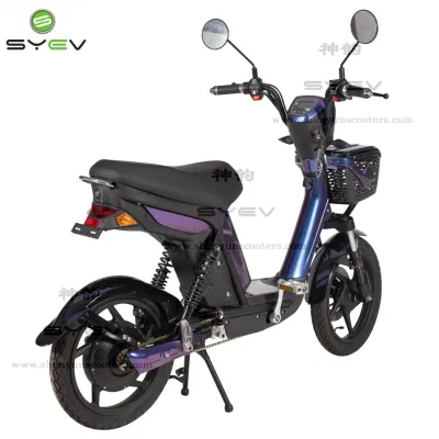 Bici elettrica ad alte prestazioni da 350 W a bassa velocità alta qualità con Scooter elettrico e-scooter e-bike e-scooter elettrico a batteria portatile da 48 V Lxqs-2 con Cestino