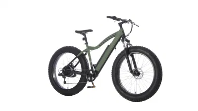 City Man Electric Cycle 26*4.0 750W 1000W /Eletric/ Bike Snow Beach Cruiser bici elettrica Big Power Fat Tire batteria grande Mountain e Bike/biciclette da neve