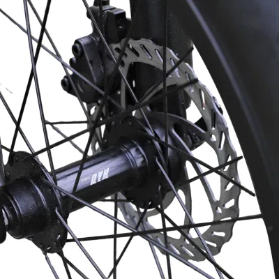 Bicicletta elettrica da montagna pieghevole di Giorrad Moto bicicletta da moto ODM/OEM in Ebike di scorta