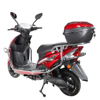 Pardo ZS Fashion High Speed Ebike più popolare con piombo-acido Batteria