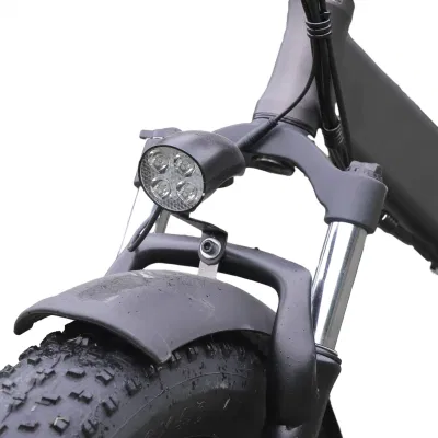 Bicicletta elettrica da montagna pieghevole di Giorrad Moto bicicletta da moto ODM/OEM in Ebike di scorta