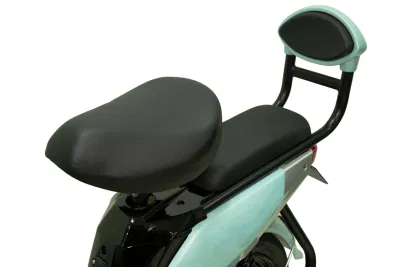 Batteria al litio scooter elettrico bicicletta elettrica
