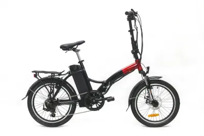 Bicicletta elettrica pieghevole per città con motore da 36 V 250 W in magazzino Europa
