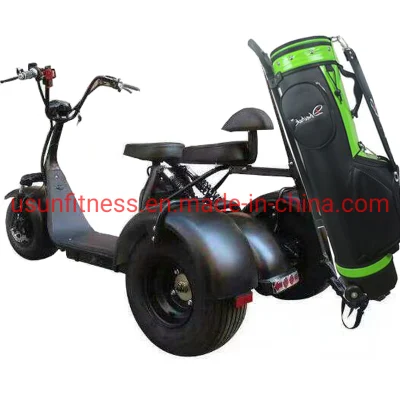 Promozione Hot sale Luxury Club Electric Car Golf a 2 posti Carrelli Scooter Moto biciclette per Golf Club Golf Trolley con CE