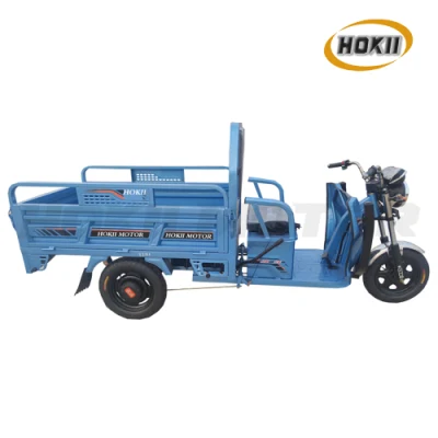Cina Produttore buona qualità trasporto cargo 1000W motore e-Bike elettrico Triciclo tre Wheeler Moto triciclo elettrico veicolo in vendita