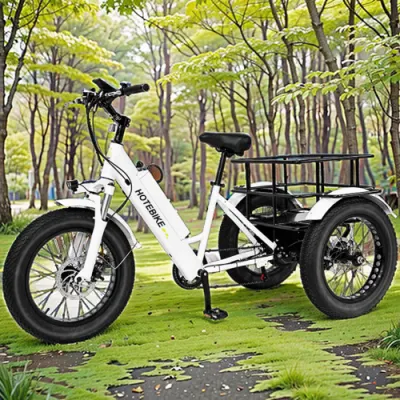 Fabbrica caldo Vendita elettrica triciclo anziani Adulti Trike elettrico 500W Bicicletta elettrica da carico da 750 W.
