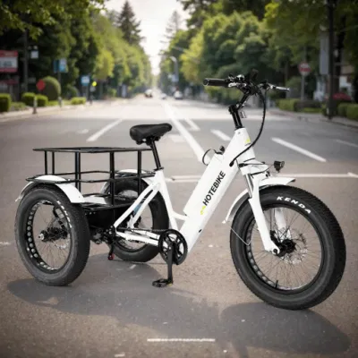 Fabbrica caldo Vendita elettrica triciclo anziani Adulti Trike elettrico 500W Bicicletta elettrica da carico da 750 W.