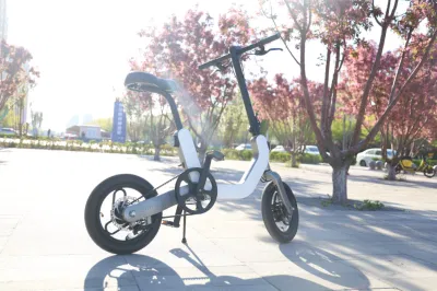 OEM/ODM 250W 36 V 7,8 ah litio bicicletta elettrica pieghevole EBike