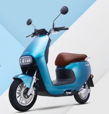Moto scooter elettrico di moda di brevetto per donne modello popolare adulto Con batteria al piombo-acido