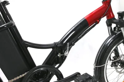 Bicicletta elettrica pieghevole per città con motore da 36 V 250 W in magazzino Europa