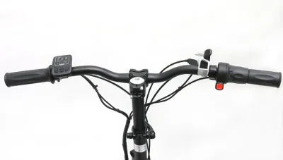 Bicicletta elettrica pieghevole per città con motore da 36 V 250 W in magazzino Europa