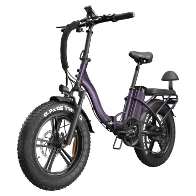 USA impianti di assemblaggio 350W/500W750W/1000W Fat Tyres Tour/Urban/City/Commute/Mini/Mountain/MTB/Dirt/Cargo Bike ripiegabile/non pieghevole Bicicletta elettrica Ebicycle E.