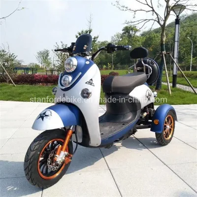 Nuovo passeggero accessibile Adulti elettrico 3 ruote bicicletta elettrica tre elettrici Scooter a gas motore Trike Cargo Bike Motociclismo scooter triciclo