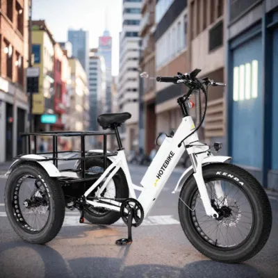 Fabbrica caldo Vendita elettrica triciclo anziani Adulti Trike elettrico 500W Bicicletta elettrica da carico da 750 W.