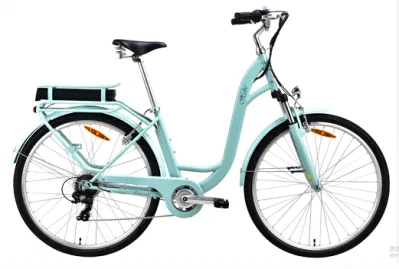 Motore posteriore Hebe 40 nm 250 W 360 wh ed e-bike Electeic City