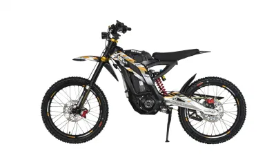 M300 bici elettrica da terra da 3000 W.