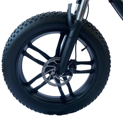 Economici Cina 500W 60V 700c 72V 1000W750 W trinciatore per adulti Bicicletta elettrica