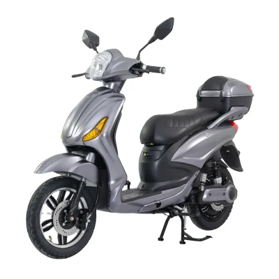 Fold Adulti bici elettrica con pedali magazzino intelligente con luce