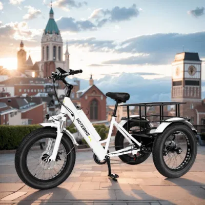 Fabbrica caldo Vendita elettrica triciclo anziani Adulti Trike elettrico 500W Bicicletta elettrica da carico da 750 W.