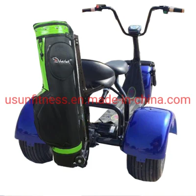 Promozione Hot sale Luxury Club Electric Car Golf a 2 posti Carrelli Scooter Moto biciclette per Golf Club Golf Trolley con CE