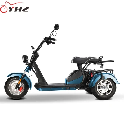 Moto elettrica Citycoco scooter 2000 W 60V con tre ruote Certificato CEE