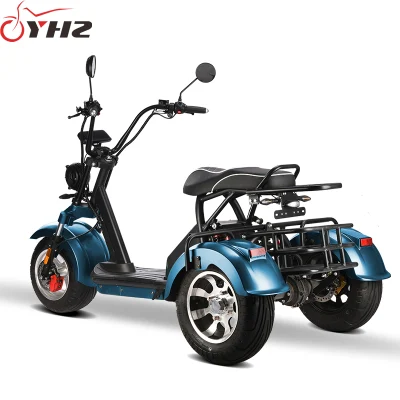 Moto elettrica Citycoco scooter 2000 W 60V con tre ruote Certificato CEE