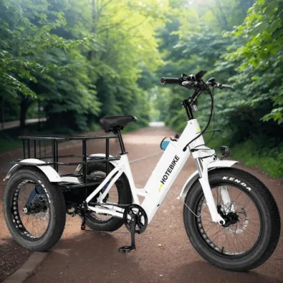 Fabbrica caldo Vendita elettrica triciclo anziani Adulti Trike elettrico 500W Bicicletta elettrica da carico da 750 W.