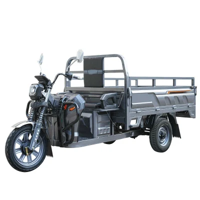 Triciclo elettrico Cargo fabbrica Hot Selling 3 ruote trike elettrico Per Cargo