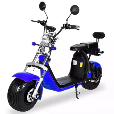 EEC Europe Offroad Adulti potente City Coco 2000 W 3000 W elettrico Scooter con pneumatico FAT Bike