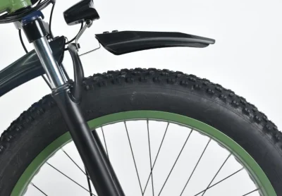 Bici elettrica Cruiser da 26 pollici, fatbike da 48 V.