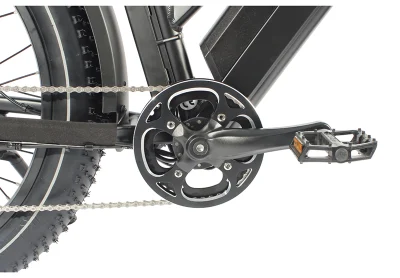 Bicicletta elettrica ad alta potenza da 26&quot; con motore brushless 48V750 W.