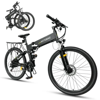 Moto elettrica da 500 750 Watt con ruote fat