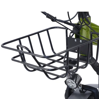 Triciclo elettrico in piedi triciclo elettrico De Pasagero tre ruote elettriche Bicicletta per adulti