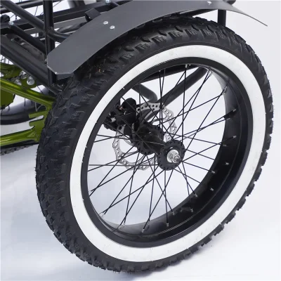 Triciclo elettrico in piedi triciclo elettrico De Pasagero tre ruote elettriche Bicicletta per adulti
