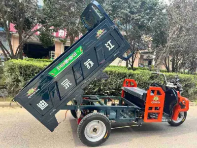 Triciclo elettrico Cargo fabbrica Hot Selling 3 ruote trike elettrico Per Cargo