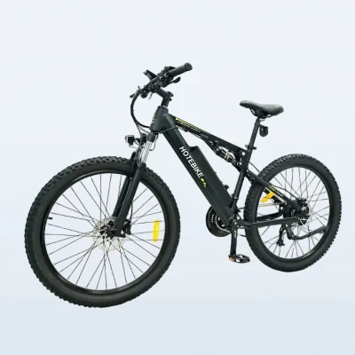 Nuovi motorini elettrici per bici e Bike Ebike a lunga distanza EU Magazzino Nuova bicicletta elettrica