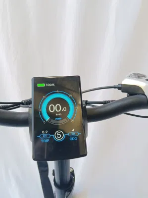 Bicicletta elettrica per trinciatore Ebike Super Dual Motors da 48 V 500 W. Mountain Electric Bicycle
