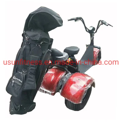 Promozione Hot sale Luxury Club Electric Car Golf a 2 posti Carrelli Scooter Moto biciclette per Golf Club Golf Trolley con CE