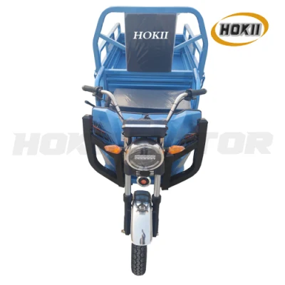 Cina Produttore buona qualità trasporto cargo 1000W motore e-Bike elettrico Triciclo tre Wheeler Moto triciclo elettrico veicolo in vendita