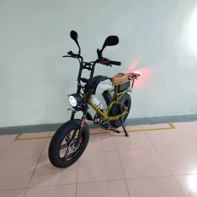 Bicicletta elettrica da città Samsung a batteria da 750 W con motore a bang da 52 V e 22 ah EBike