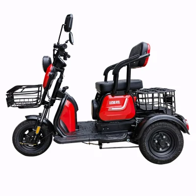 Bicicletta motorizzata a 3 ruote per anziani