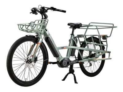 Moto da cargo elettrico A MOTORE MEDIO da 36 V 250 W/48 V 500 W.