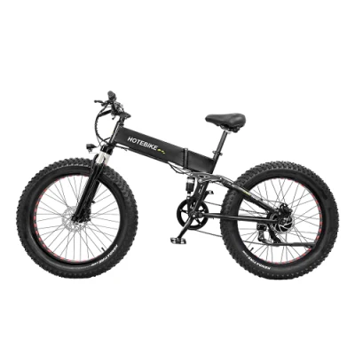Moto elettrica da 500 750 Watt con ruote fat
