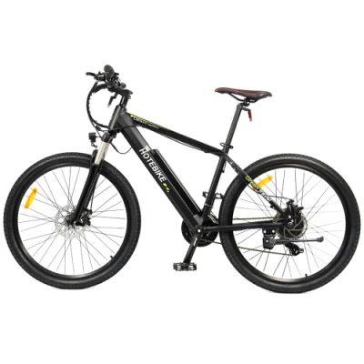 Bicicletta elettrica ad alta potenza da 36 V/48 V 250 W/350 W/500 W/750 W.