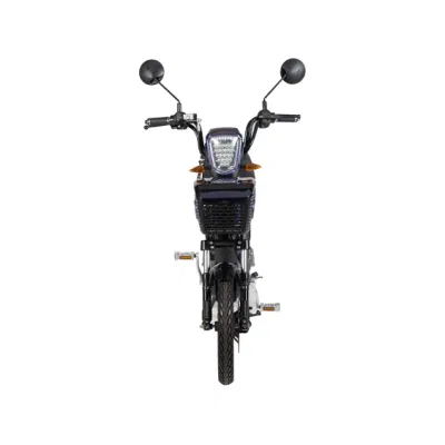 Bici elettrica ad alte prestazioni da 350 W a bassa velocità alta qualità con Scooter elettrico e-scooter e-bike e-scooter elettrico a batteria portatile da 48 V Lxqs-2 con Cestino
