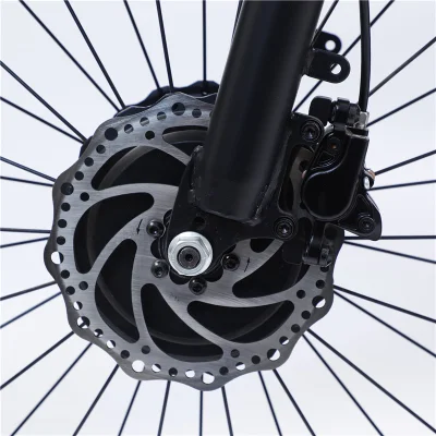 Triciclo elettrico in piedi triciclo elettrico De Pasagero tre ruote elettriche Bicicletta per adulti